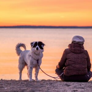Daybreak. 22° F. 6:39 to 7:010 am. December 22, 2023. Cove Island Park, Stamford, CT.