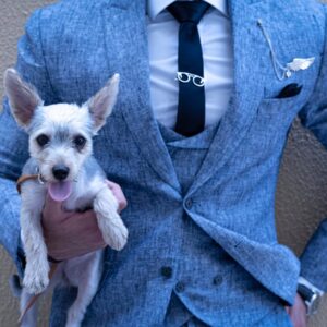 Photo of Person Holding Puppy