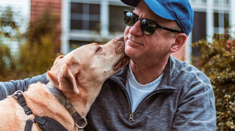 Pet Dog Licking Face of Man