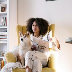 Free stock photo of afro, afro hair, animal