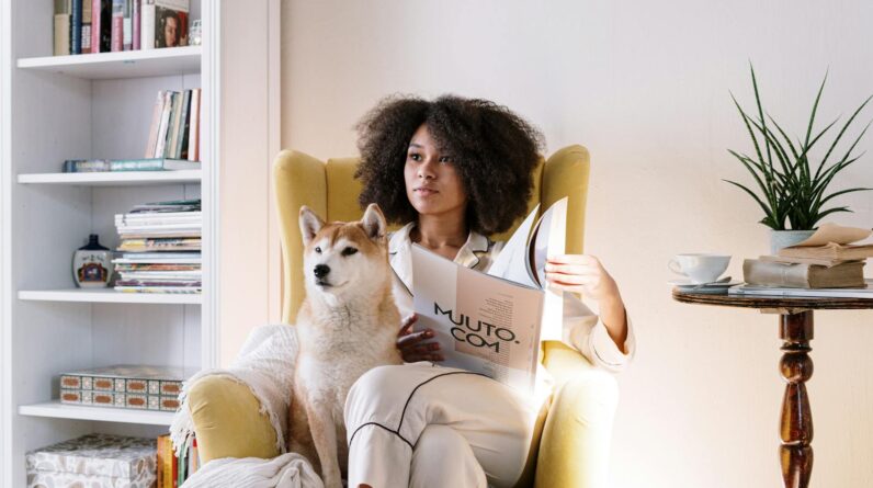 Free stock photo of afro, afro hair, animal