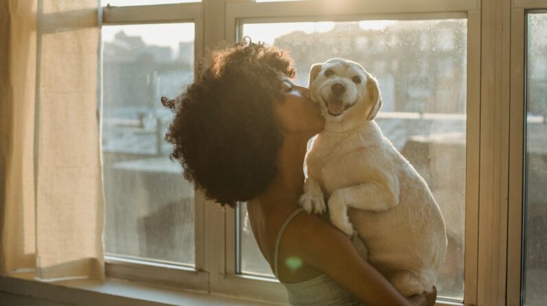 Black woman kissing cute purebred dog