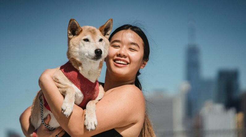 Happy ethnic female demonstrating cute funny dog and smiling on blurred background of city