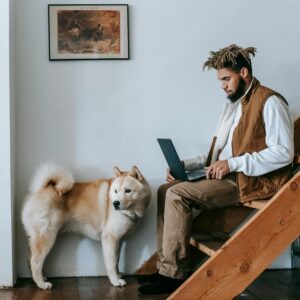 Side view of young African American male freelancer working remotely on laptop sitting on wooden staircase near adorable Akita dog at home