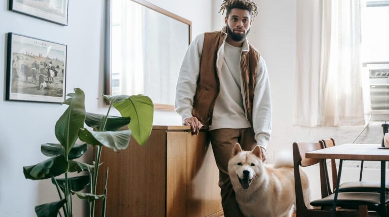 Calm young African American male owner with dreadlocks and beard standing in cozy kitchen with cute Akita Inu dog