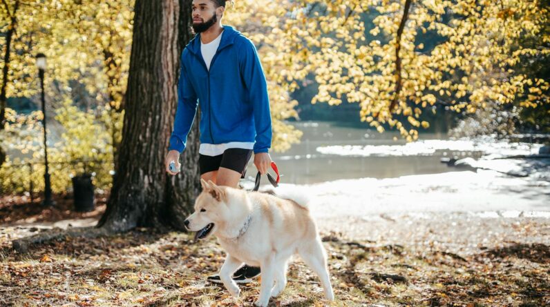 African American male walking with dog in park