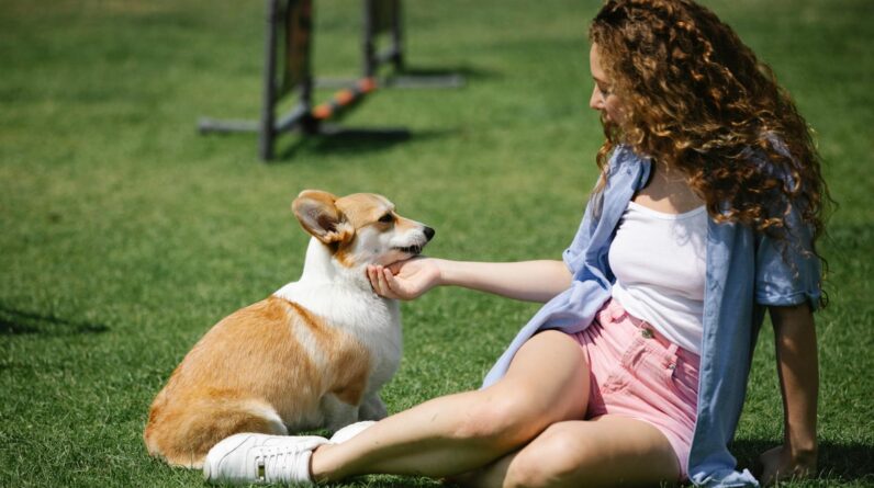 Young woman sitting on green grass with corgi