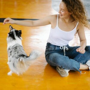 Crop female in casual clothes sitting on floor and playing with adorable shetland sheepdog while spending time in modern gym