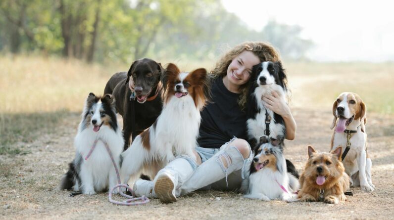 Gentle smiling woman embracing purebred dogs while sitting on ground