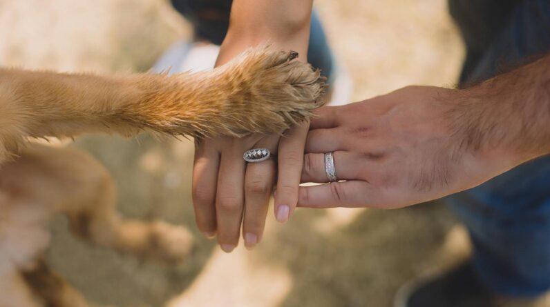 Two Person With Rings on Ring Fingers