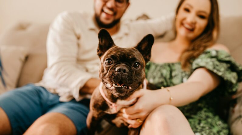 a man and woman sitting on a couch with a dog