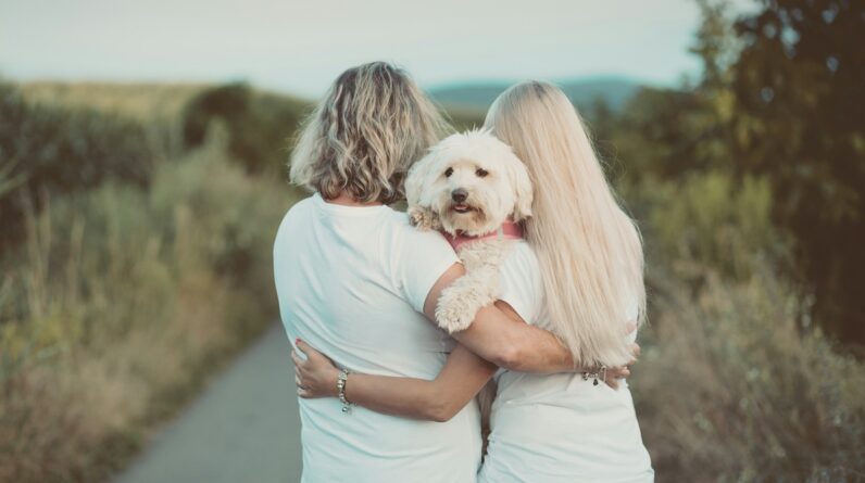 woman in blue t-shirt hugging white dog