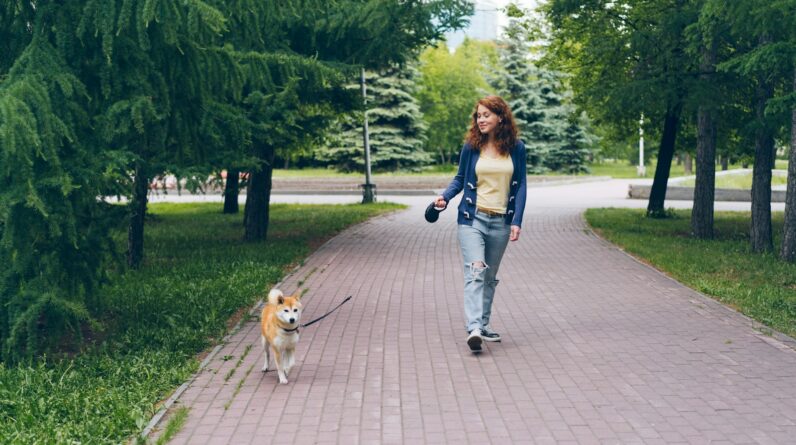 a woman walking a dog on a brick path