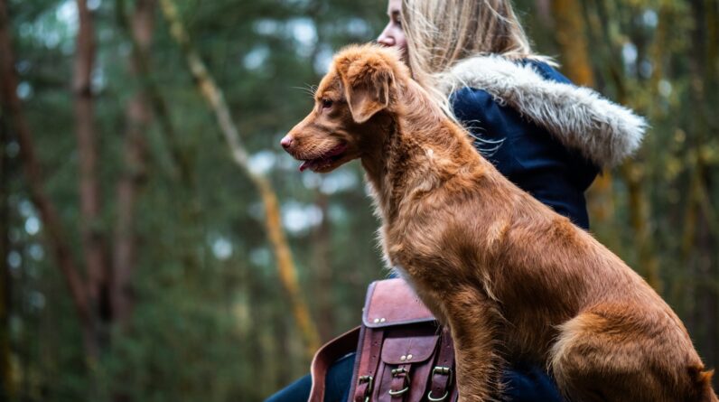 woman sitting beside tan dog on forest