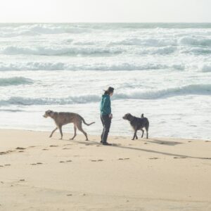 a woman walking two dogs on a beach