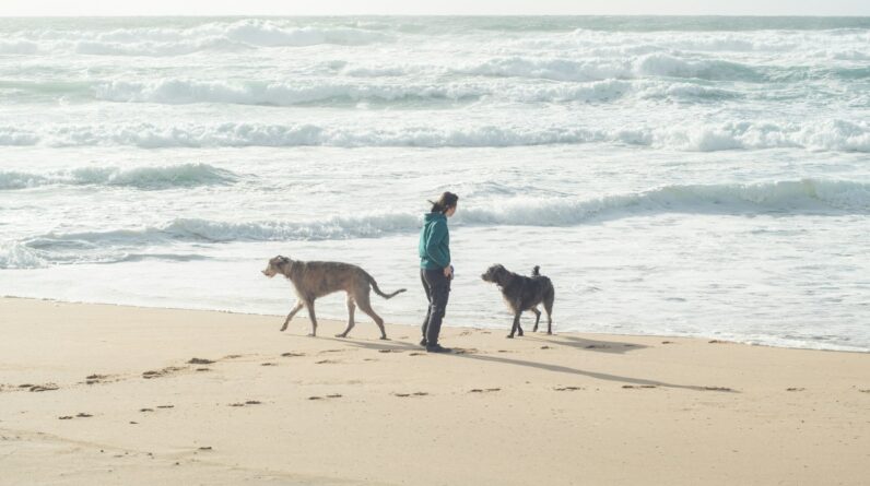 a woman walking two dogs on a beach