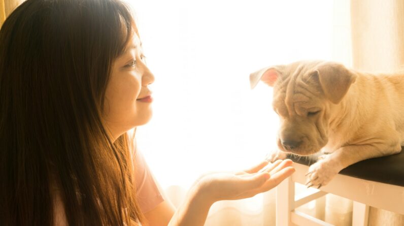 woman in black tank top hugging white short coated dog